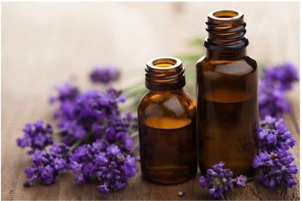 Lavender Oil- 100% Pure Essential Oil (10 ML)